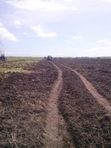 HLI destruction of crops