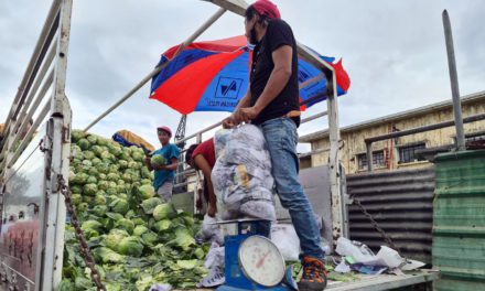 Cordillera farmers bat for inclusion of vegetable gardeners in DA’s fuel subsidy
