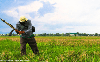 Farmers dismiss mega-farm proposal as not viable, urges lowering of prices of farm inputs instead
