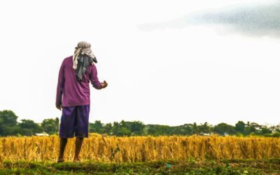 Farmers present 12 ‘doable’ agri program for Marcos Jr.’s first 100 days
