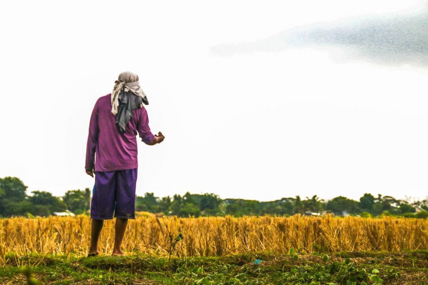 A farmers group has presented what it said are doable programs for the country’s agriculture sector in the first 100 days in office of the Marcos Jr. administration.