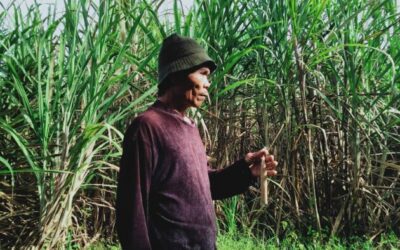 Food producers go hungry