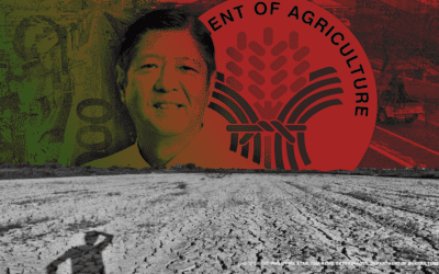 Marcos Jr’s weak DA leadership is dragging the agriculture sector