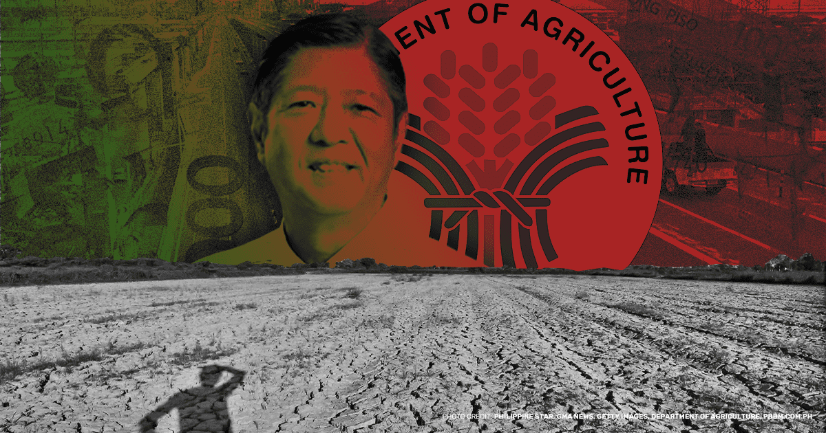 One year after taking the secretary post, the agriculture sector continues to be in shambles on a macroeconomic scale under the leadership of President Ferdinand “Bongbong” Marcos Jr.