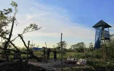 Luisita farmers ask gov’t to reopen Tadeco land distribution
