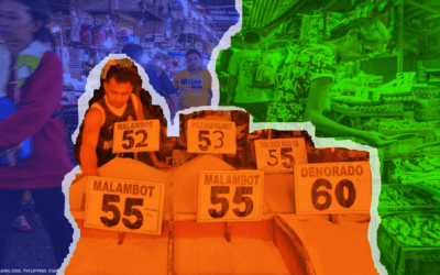 Inflation slower but not for the poor – IBON