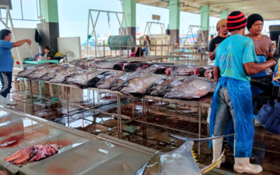 Billions for commercial tuna industry, crumbs for fisherfolk
