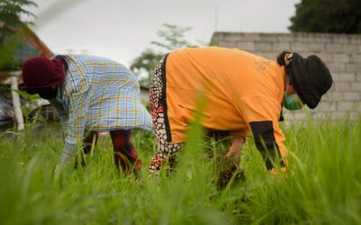 No rice subsidies, cash assistance for El Niño-stricken local food producers – KMP