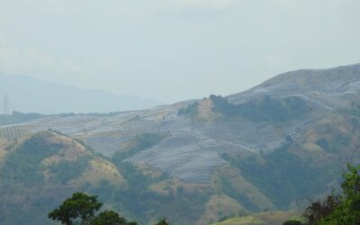 ‘Olongapo Solar Project, panganib sa kalikasan, pamayanan’